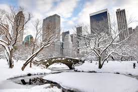 5 winter activities in new york city