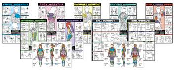 Fitness Posters Co Ed By Bruce Algra