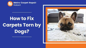 how to fix carpets torn by dogs