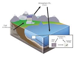 The Conservation Of Mass Learn