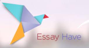 Essay Have Review By Topwritersreviews