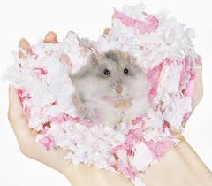 Hamster Bedding Pet Supplies Homes