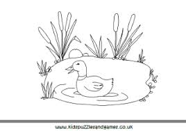 Coloring pages kind duck and little cute duckling swim on the. Duck Pond Colouring Page Kids Puzzles And Games