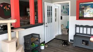 Cat cafe central florida humane society walt disney world orlando vacation road trips anonymous outdoor decor. Cat Rescue Opens Cat Cafe In Jacksonville Beach Wjct News