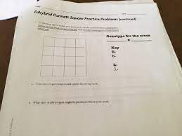 Dihybrid cross practice worksheet answer key, dihybrid cross worksheet answer key and pea plant punnett square worksheet answers are three main things we. Solved Date Dihybrid Punnett Square Practice Problems Co Chegg Com