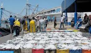 الفوضى العارمة واللاتنظيم يتزايد داخل سوق السمك بميناء طانطان  “الوطية”..التفاصيل – العيون الآن