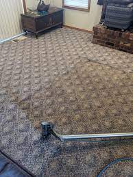 5 star amazing carpet cleaning