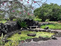 Half Day Botanical Gardens Kauai