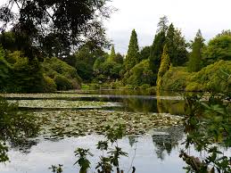 sheffield park garden east sus