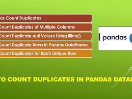 count duplicates in pandas dataframe