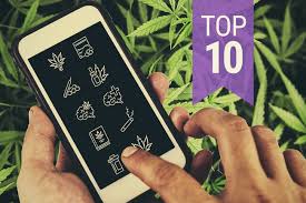 Our platform connects independent, state licensed cannabis retail stores with verified users. 7 Apps Every Stoner Shouldn T Be Without Rqs Blog