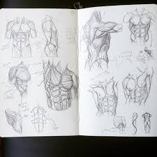 Digitally sculpt the human anatomy ecorche. Greg Opalinski Torso Anatomy Drawing Anatomy Muscles