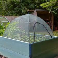 Umbrella Fruit Cage Raised Bed Plant