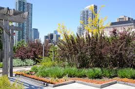 Green Roof Sustaility And