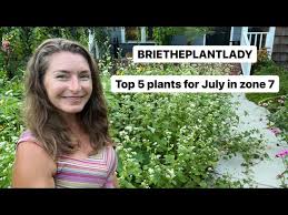 top 5 plant for july in zone 7 you