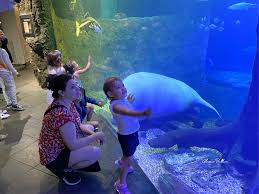 our visit to the dallas world aquarium