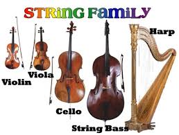 Image result for string instruments