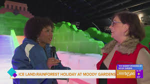 rainforest holiday at moody gardens