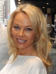 The study group — used by: Pamela Anderson Wikipedia
