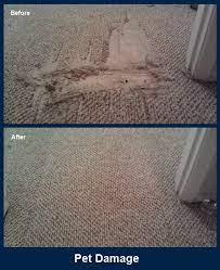 carpet repair charlotte nc master