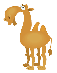 You can download 1754*1240 of background orange now. Camel Png Clipart 17 Free Download