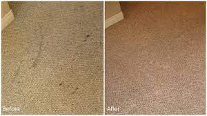 water damage pros carpet cleaning