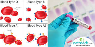 blood typing test what is it and what