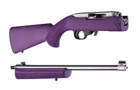 ruger 10 22 takedown standard barrel