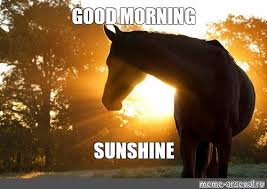 Good morning sunshine by jnr_jinx more memes. Meme Good Morning Sunshine All Templates Meme Arsenal Com