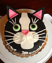 Yes it can represent a good prize or food to celebrate a special day, like their birthday, so you can prepare a cake every now and then but not every day. Happy Birthday Brett Cat Cake Birthday Cake For Cat Cool Birthday Cakes