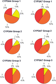 Pie Charts Illustrating The Percentage Of The Different