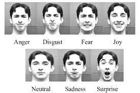 seven basic human emotions