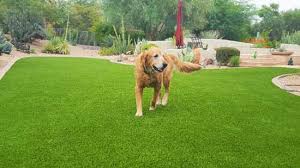 Pet Turf Smart Turf Artificial Grass