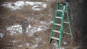 deer hunting strategy step ladder