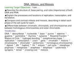 ppt dna mitosieiosis