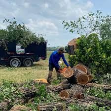 Tree service georgetown, texas | certified arborist tree service serving georgetown, texas with certified arborists on staff. The 10 Best Tree Trimming Services In Georgetown Tx 2021