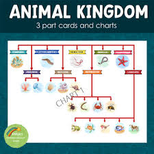 Animal Kingdom 3 Part Cards And Charts