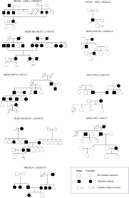 Detailed Pedigree Charts Of Mody Positive Pregnant Women