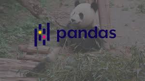 pandas dataframes with python codes