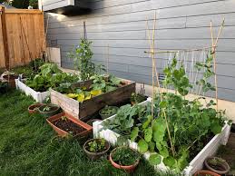 how to get started gardening in the pnw