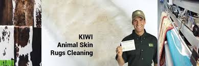 skin rugs cleaning services