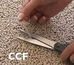 how to fix torn up carpet from cats