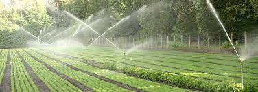 landscaping irrigation residential