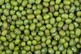Green Mung Bean Buy green mung bean for best price at INR 50 / Kilogram ( Approx )