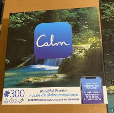 spin master calm 300 piece puzzle