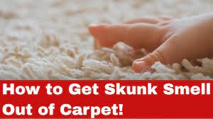 how to get skunk smell out of carpet