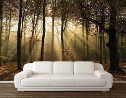 Forest Wall Decal Dark Forest Wall