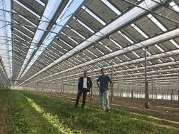 french photovoltaic greenhouse delivers