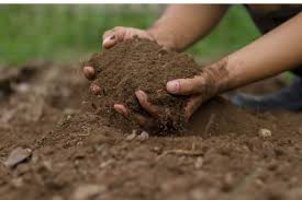 best soil for growing gr loam here
