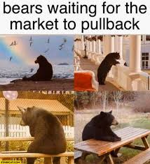 Discover more posts about stock market memes. Bears Waiting For The Stock Market To Pullback Starecat Com